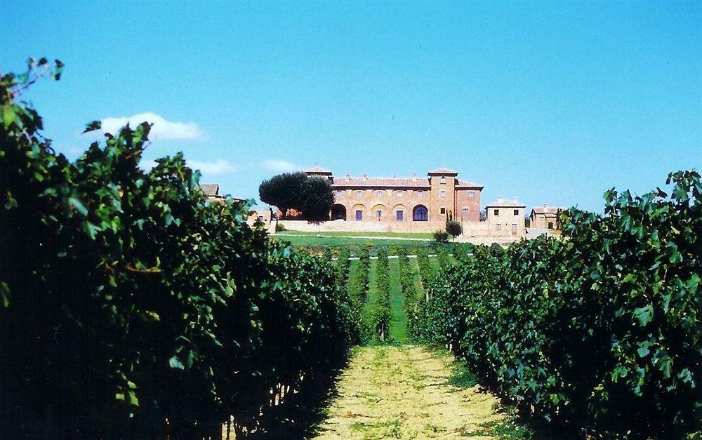 Agriturismo Terra Rossa Valiano Exterior foto