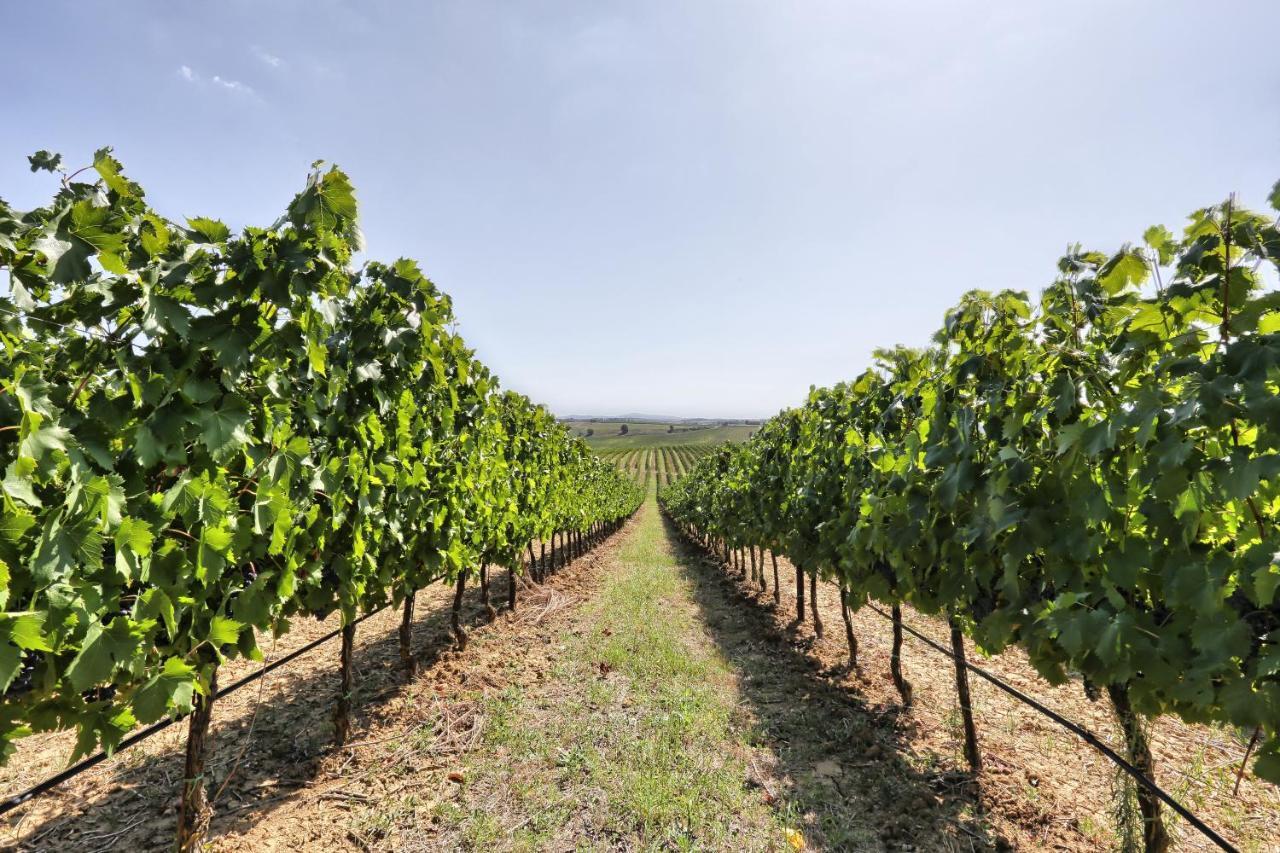 Agriturismo Terra Rossa Valiano Exterior foto